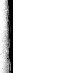 Image Tile