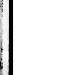 Image Tile