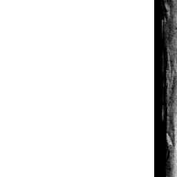 Image Tile