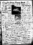 Page overview thumbnail