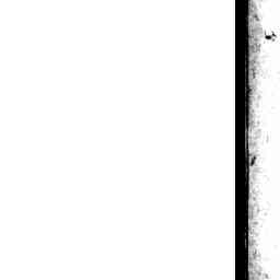 Image Tile
