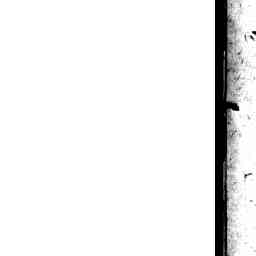Image Tile