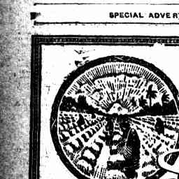 Image Tile