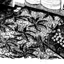 Image Tile