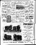 Page overview thumbnail
