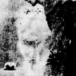 Image Tile