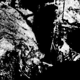 Image Tile