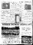 Page overview thumbnail