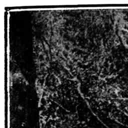 Image Tile