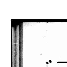 Image Tile