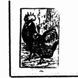 Image Tile