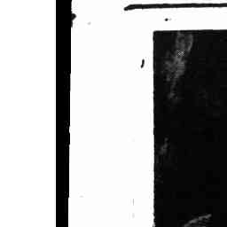 Image Tile