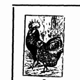 Image Tile