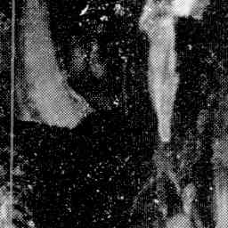Image Tile
