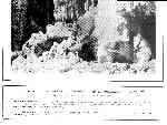 Page overview thumbnail