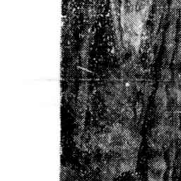 Image Tile