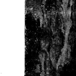 Image Tile