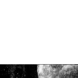Image Tile