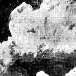 Image Tile