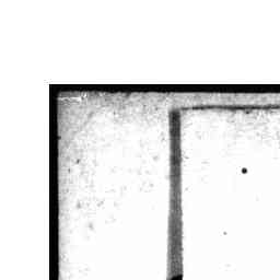 Image Tile