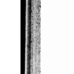 Image Tile