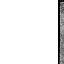 Image Tile