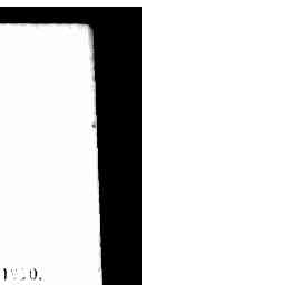 Image Tile