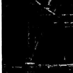 Image Tile