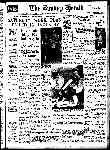 Page overview thumbnail