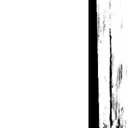 Image Tile