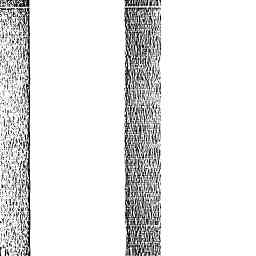 Image Tile