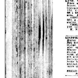 03 Aug 1951 Advertising Trove