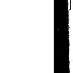 Image Tile