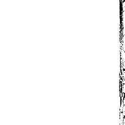 Image Tile
