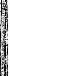 Image Tile