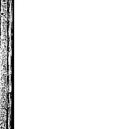 Image Tile