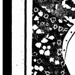 Image Tile