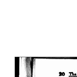 Image Tile