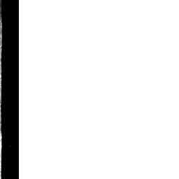 Image Tile