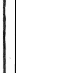 Image Tile