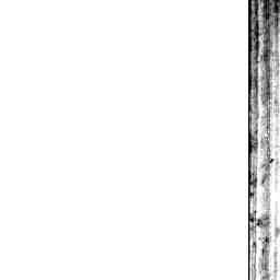 Image Tile