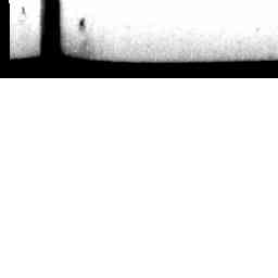 Image Tile