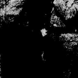 Image Tile