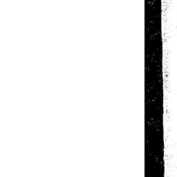 Image Tile