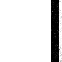 Image Tile