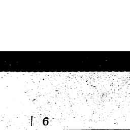 Image Tile