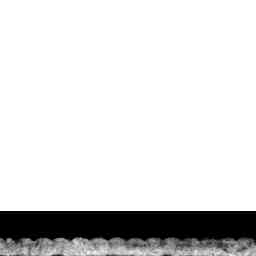 Image Tile