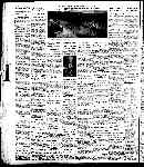 Page overview thumbnail