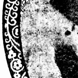 Image Tile