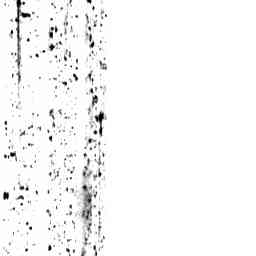 Image Tile
